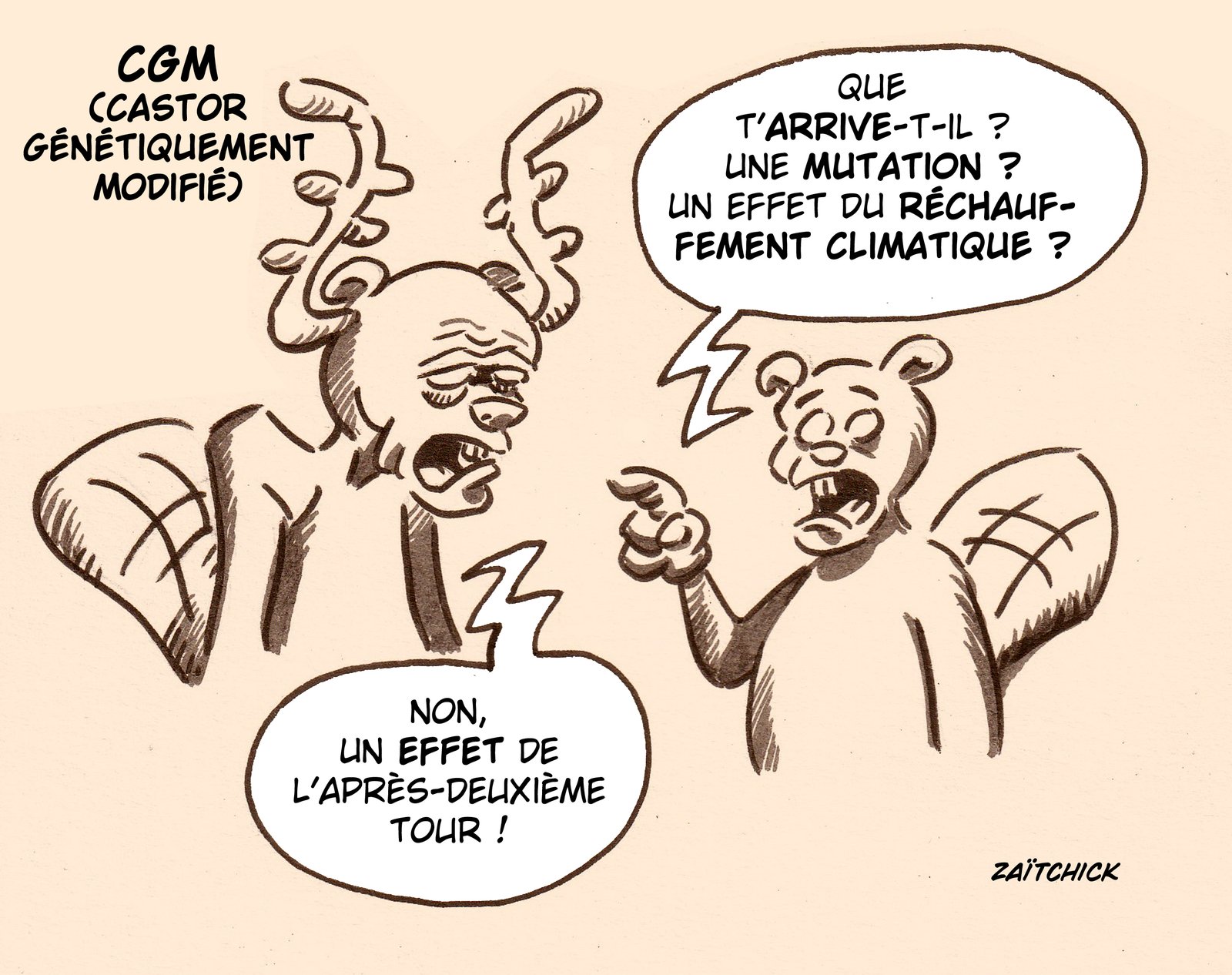 Castor cornu (une nouvelle fois...)