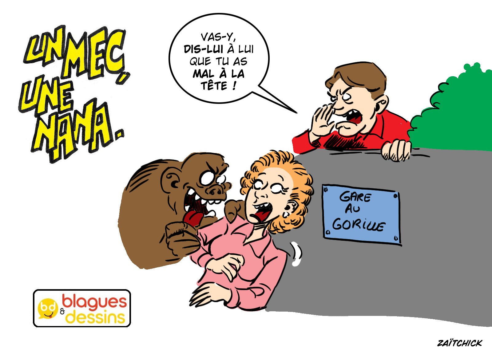 Gare au gorille