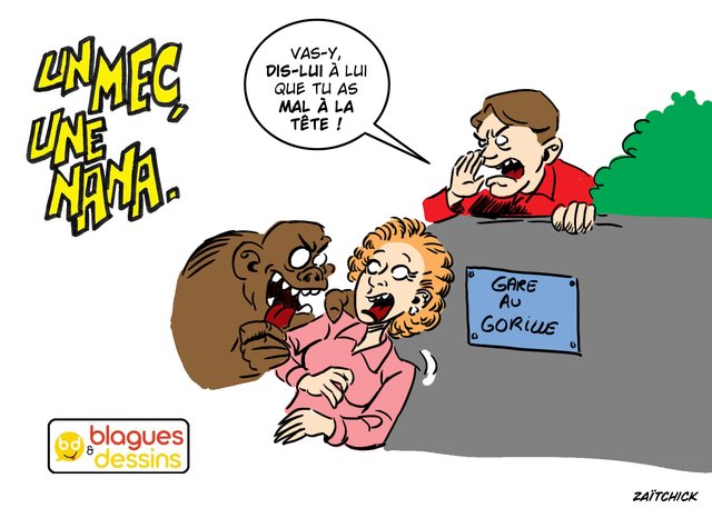 Gare au gorille