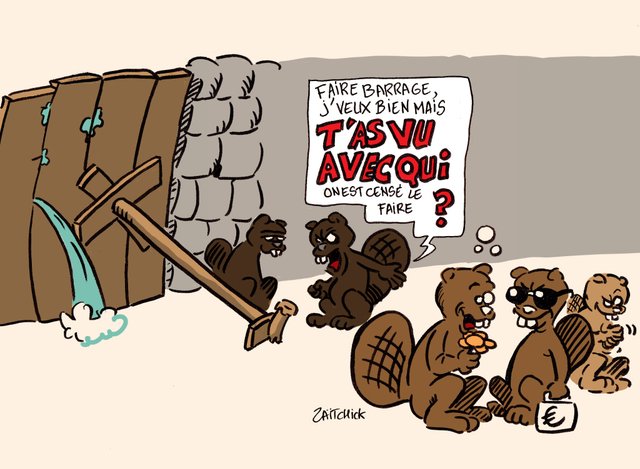 On ne choisit pas ses castors.