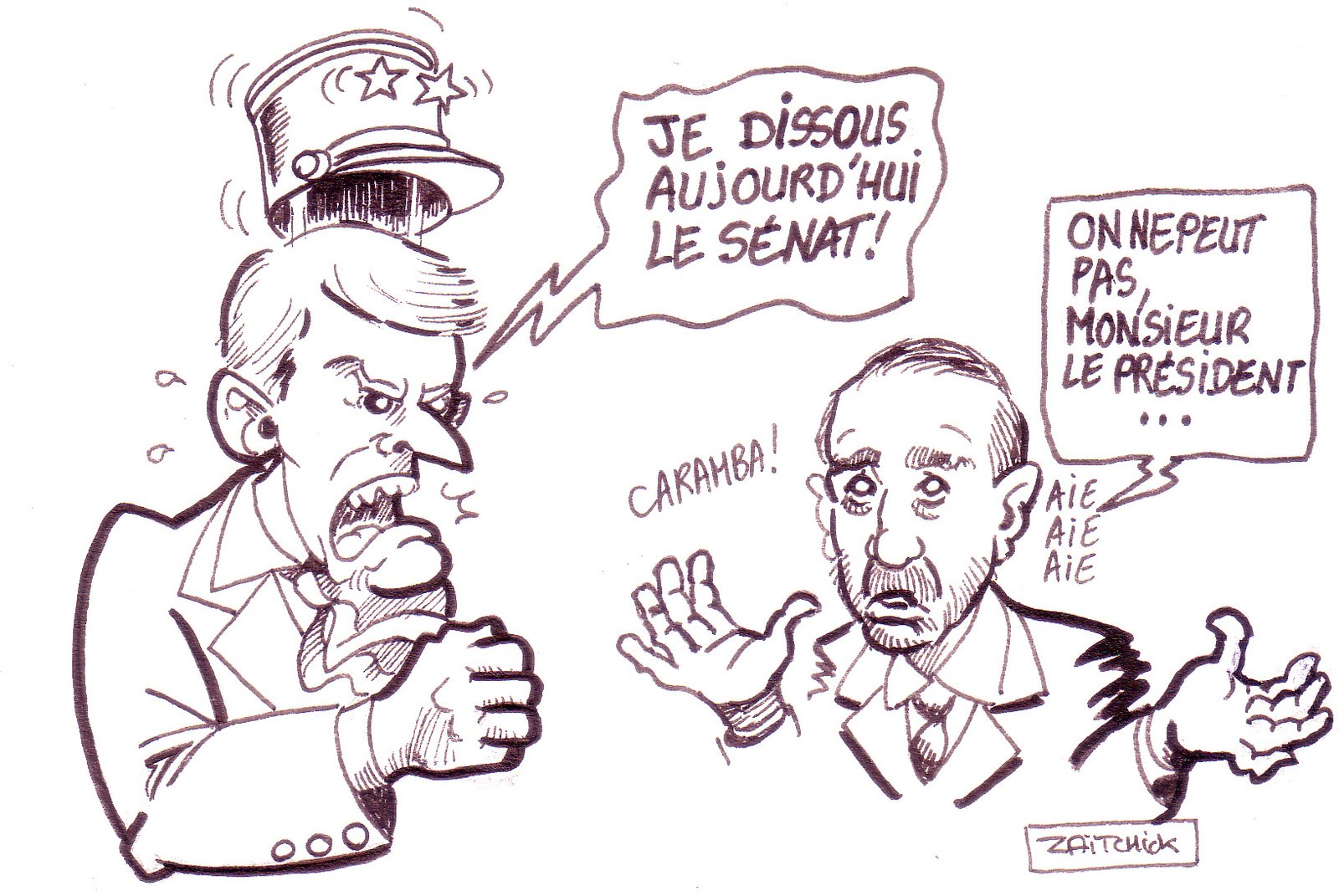 Si jeunesse pouvait...