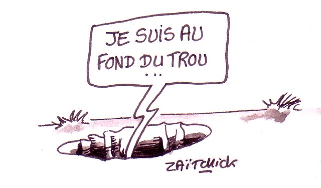 Sombres Sondages pour Loiseau...