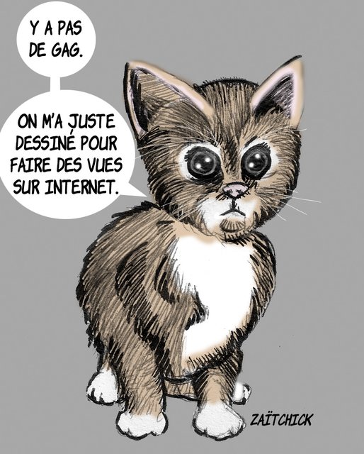 Ceci n'est pas un chat