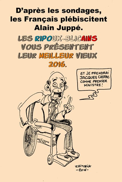 C'est dans les vieux pots...