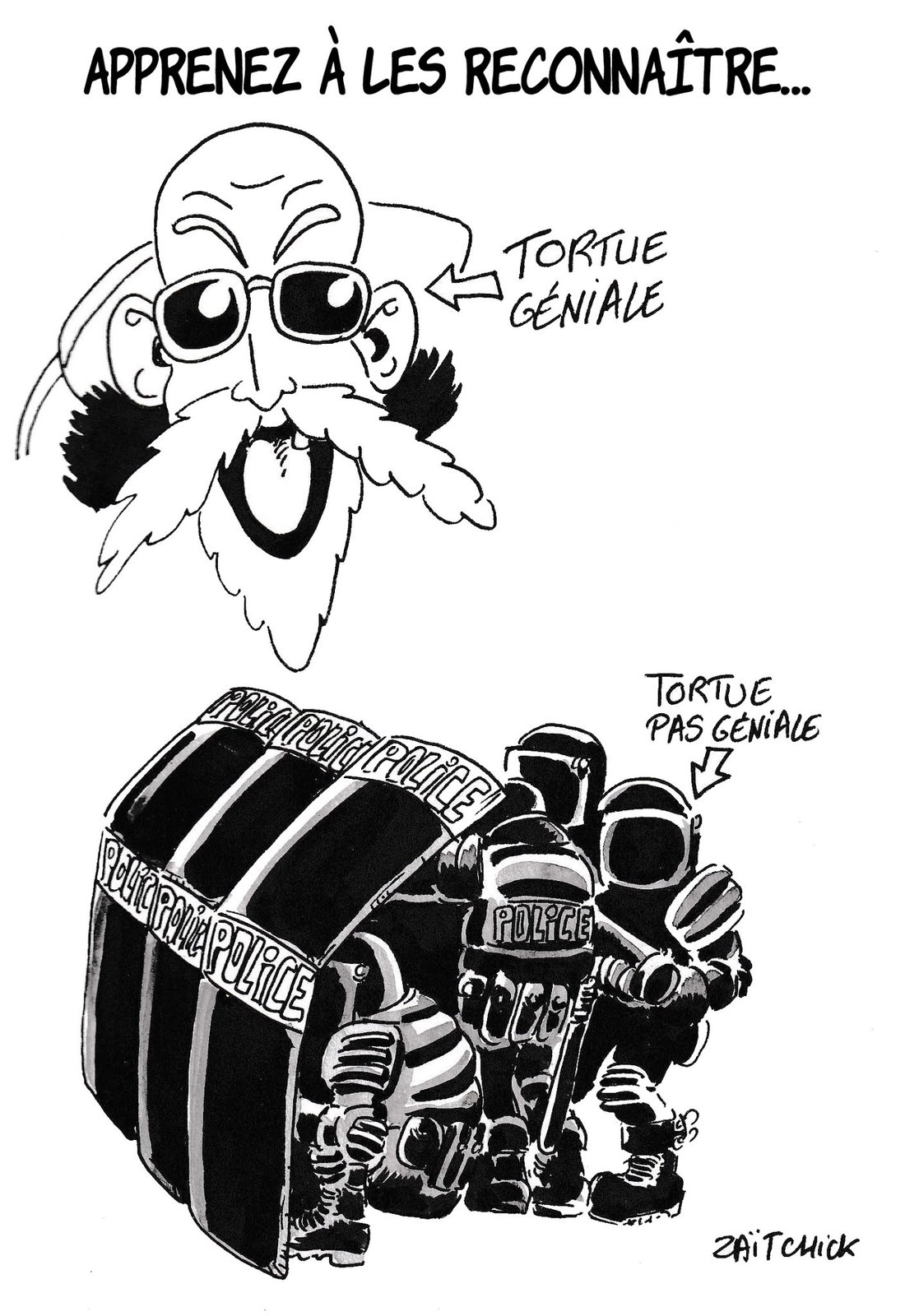 Tortues ninjas made in France