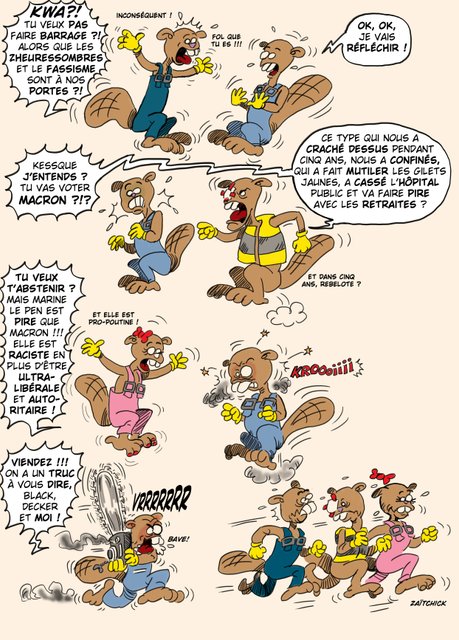 Castors sous pression